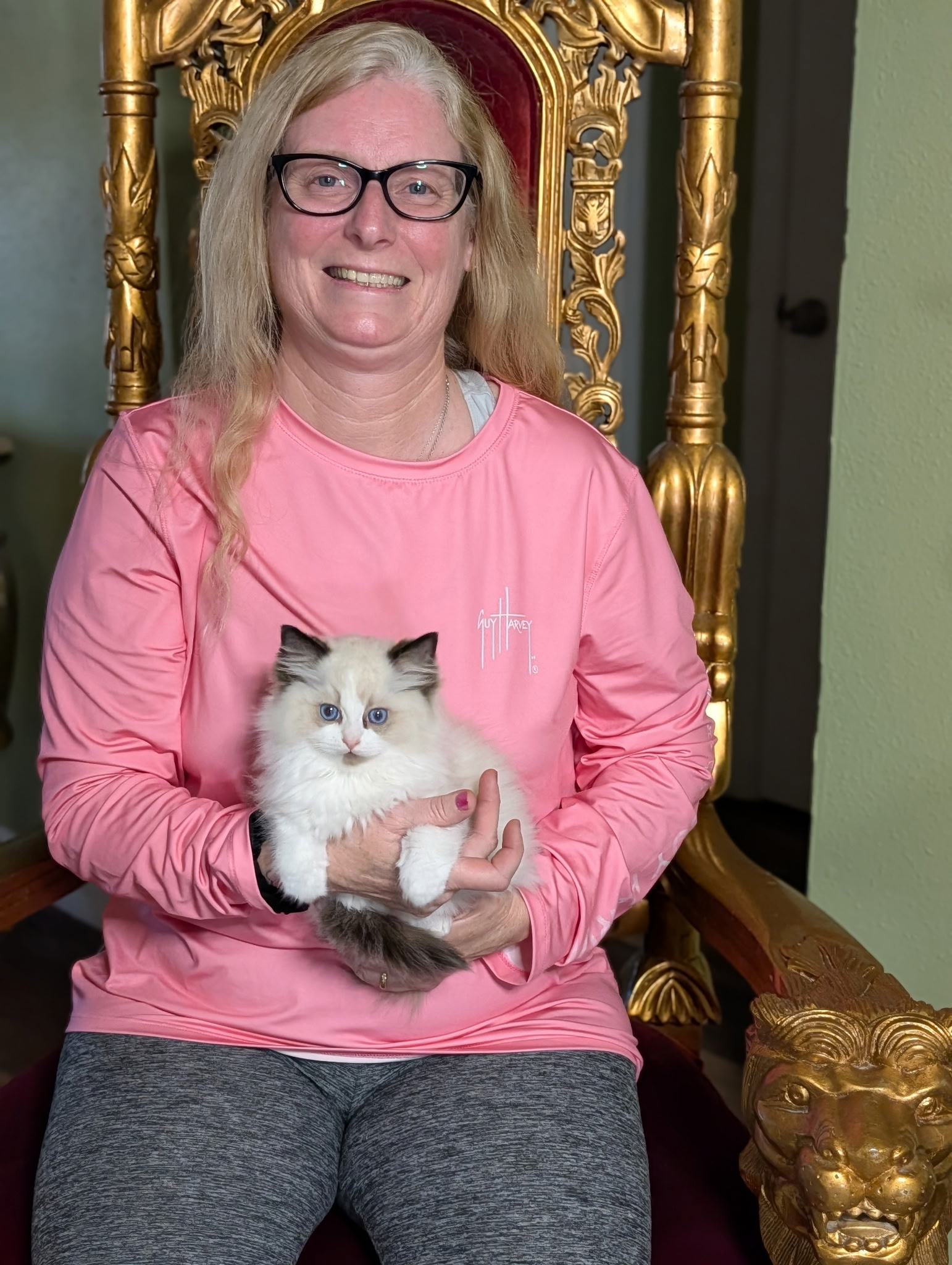 Ragdolls for Sale | Simonsezz Ragdolls