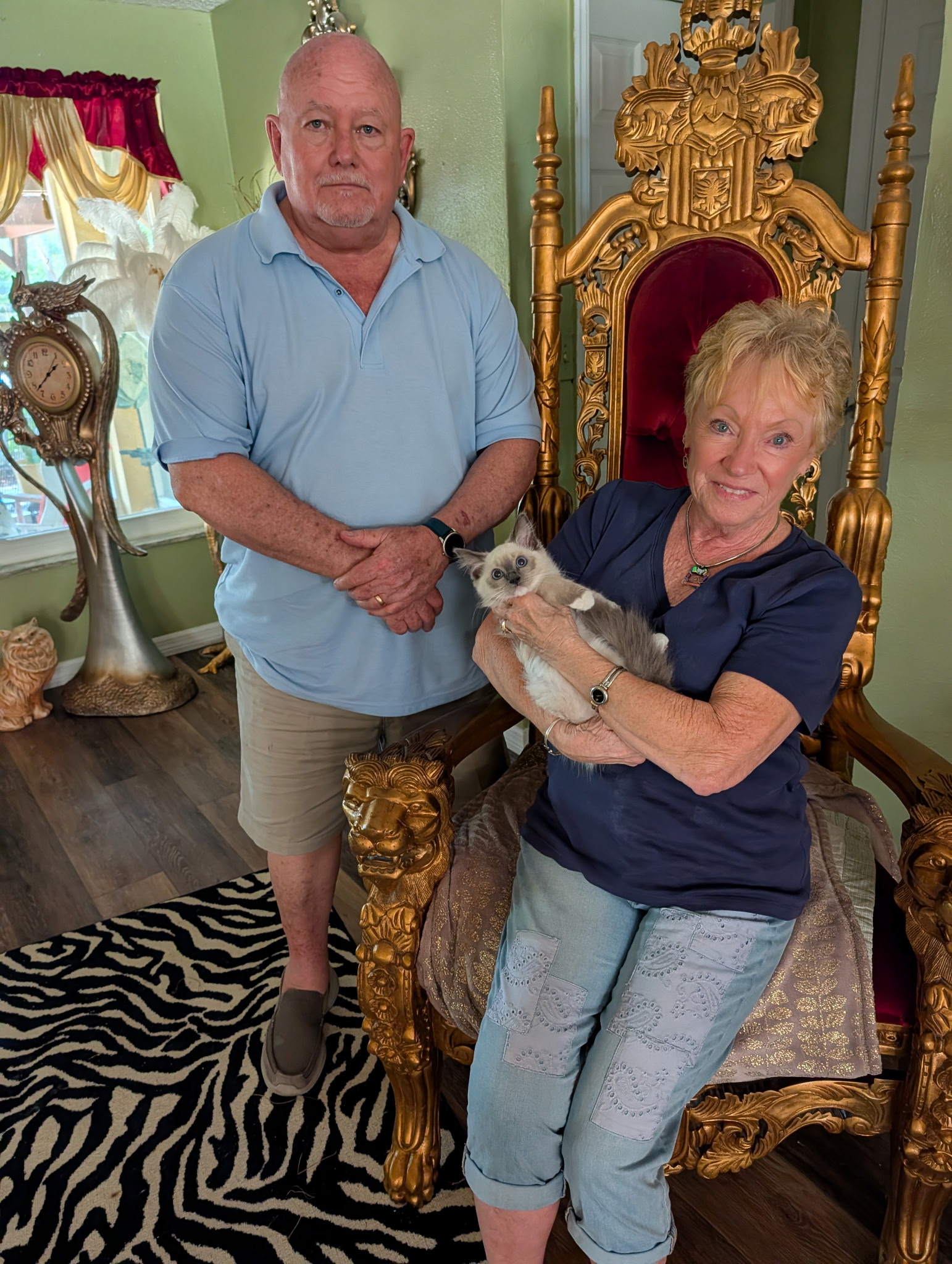 Ragdolls for Sale | Simonsezz Ragdolls